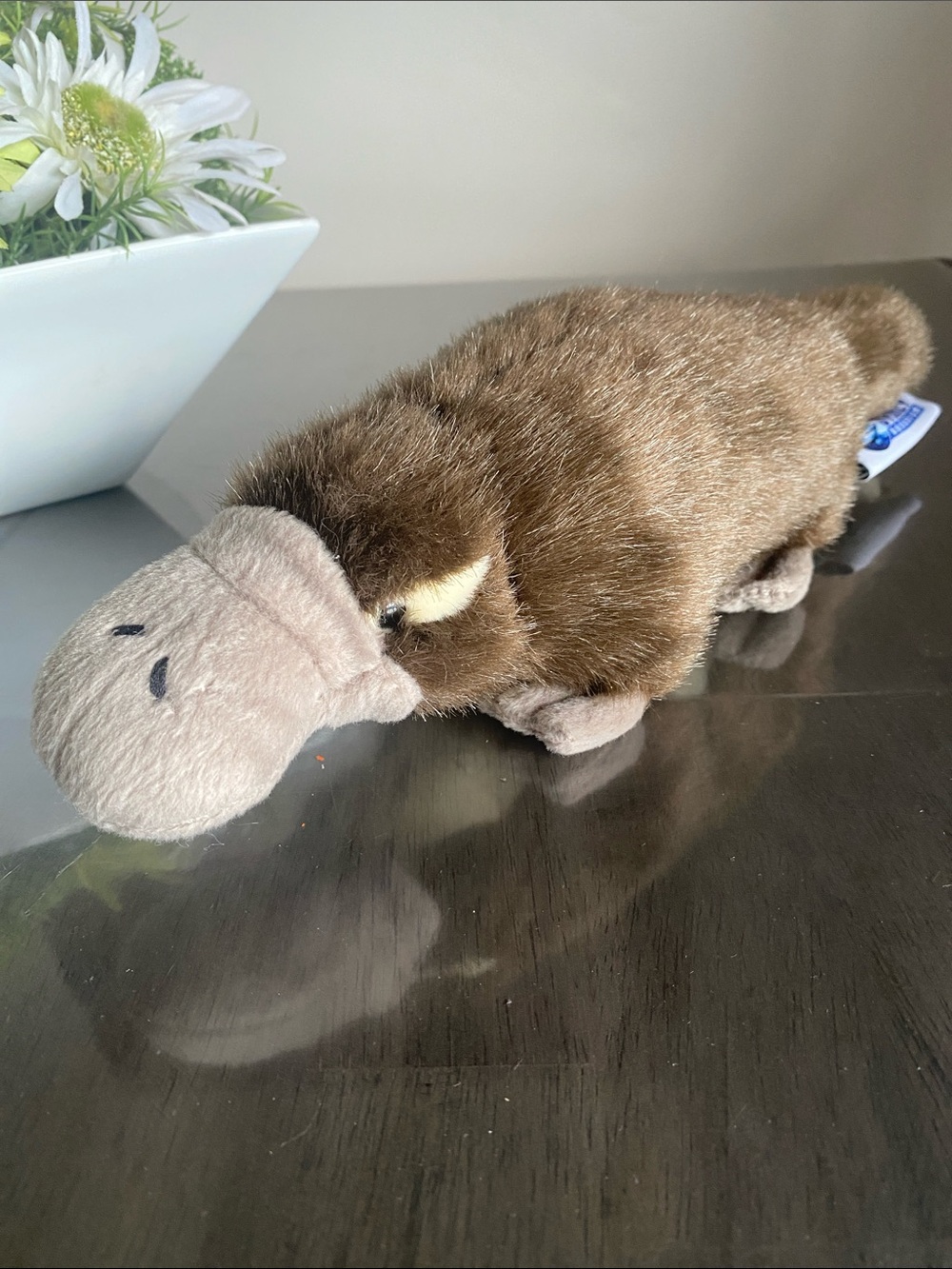 Realistic Plush Platypus Animal from Sydney Aquarium
